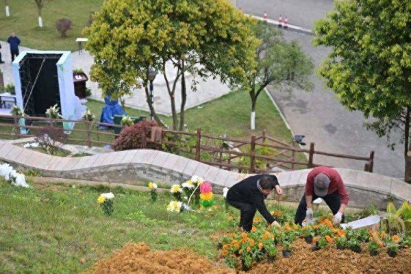 清明假期最后一天！重庆11.74万人选择绿色低碳祭扫