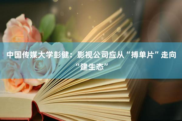 中国传媒大学彭健：影视公司应从“搏单片”走向“建生态”