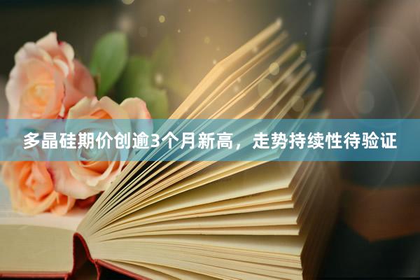 多晶硅期价创逾3个月新高，走势持续性待验证