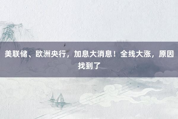 美联储、欧洲央行，加息大消息！全线大涨，原因找到了