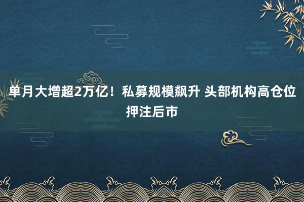 单月大增超2万亿！私募规模飙升 头部机构高仓位押注后市