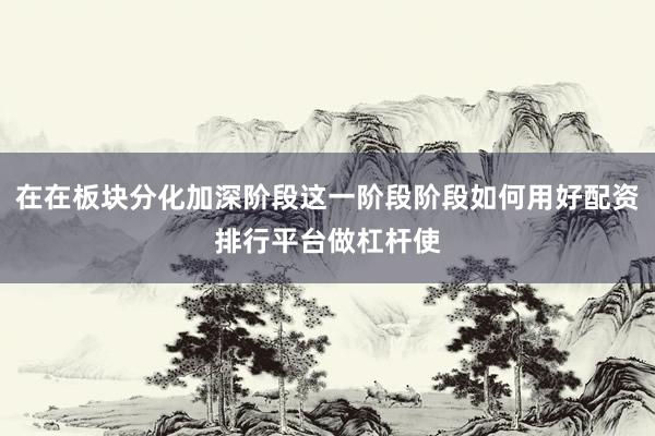 在在板块分化加深阶段这一阶段阶段如何用好配资排行平台做杠杆使
