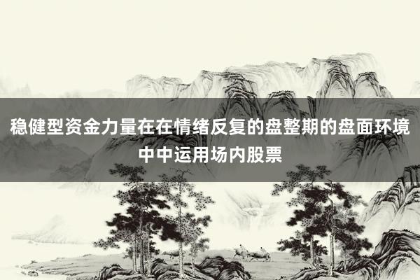 稳健型资金力量在在情绪反复的盘整期的盘面环境中中运用场内股票