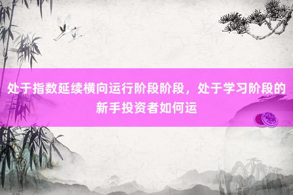 处于指数延续横向运行阶段阶段，处于学习阶段的新手投资者如何运
