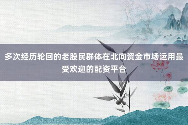 多次经历轮回的老股民群体在北向资金市场运用最受欢迎的配资平台