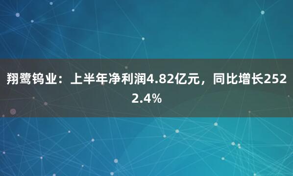 翔鹭钨业：上半年净利润4.82亿元，同比增长2522.4%