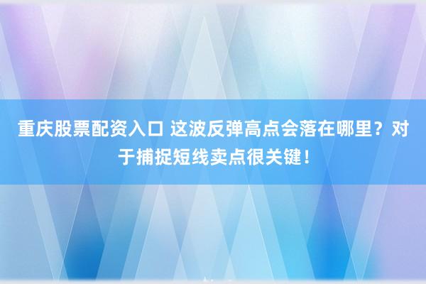 重庆股票配资入口 这波反弹高点会落在哪里？对于捕捉短线卖点很关键！
