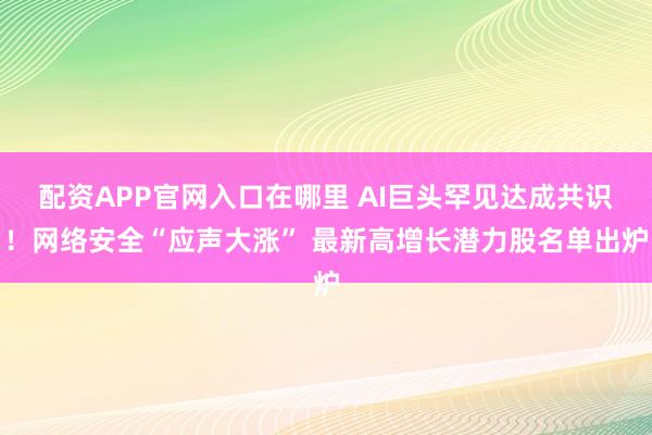 配资APP官网入口在哪里 AI巨头罕见达成共识！网络安全“应声大涨” 最新高增长潜力股名单出炉