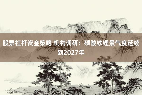 股票杠杆资金策略 机构调研：磷酸铁锂景气度延续到2027年
