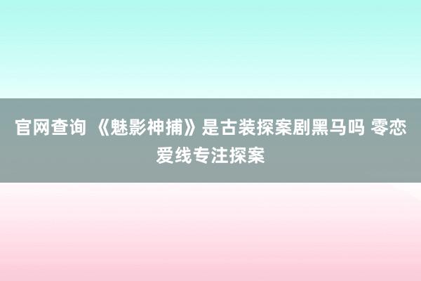 官网查询 《魅影神捕》是古装探案剧黑马吗 零恋爱线专注探案