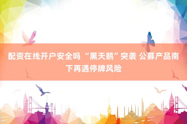 配资在线开户安全吗 “黑天鹅”突袭 公募产品南下再遇停牌风险